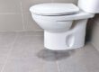 leaking toilet due to blockage Buderim plumber