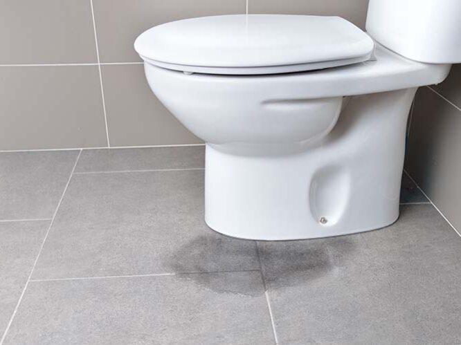 leaking toilet due to blockage Buderim plumber