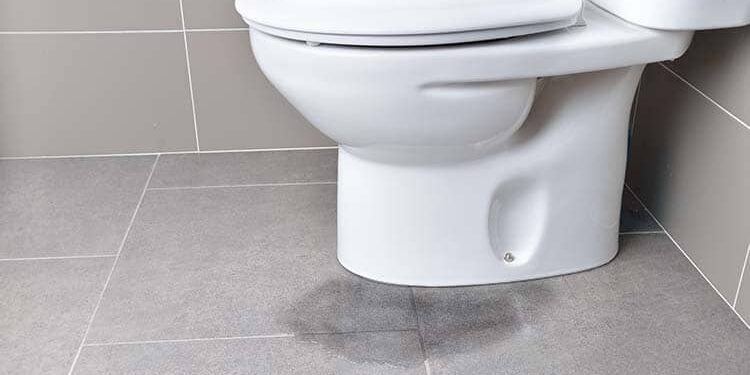 leaking toilet due to blockage Buderim plumber
